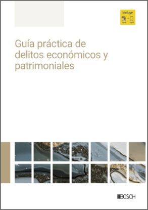 Imagen de Guía práctica de delitos económicos y patrimoniales
