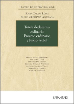 Imagen de Tutela declarativa ordinaria: Proceso ordinario y Juicio verbal