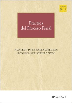 Imagen de Práctica del Proceso Penal