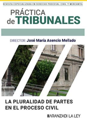 Imagen de Práctica de Tribunales