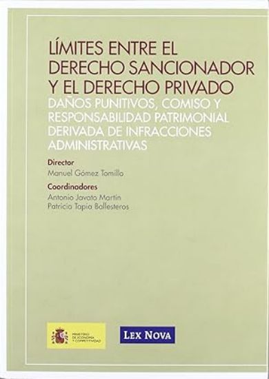 Imagen de Límites entre el derecho sancionador y el derecho privado