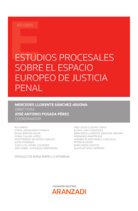 Imagen de Estudios procesales sobre el espacio europeo de justicia penal