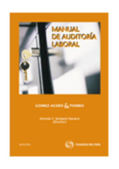 Imagen de Manual de Auditoría laboral