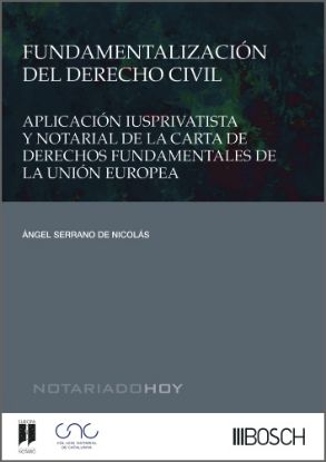 Imagen de Fundamentalización del Derecho Civil