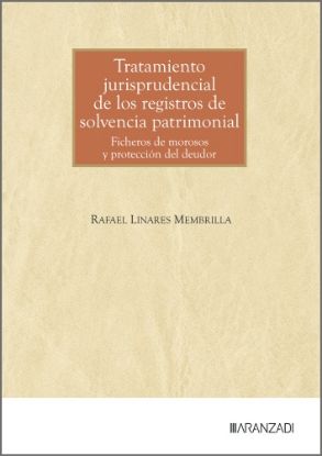 Imagen de Tratamiento jurisprudencial de los registros de solvencia patrimonial