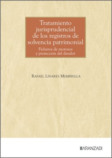 Imagen de Tratamiento jurisprudencial de los registros de solvencia patrimonial