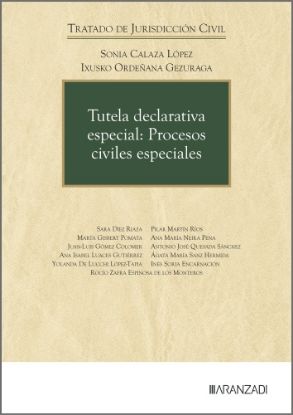 Imagen de Tutela declarativa especial: Procesos civiles especiales