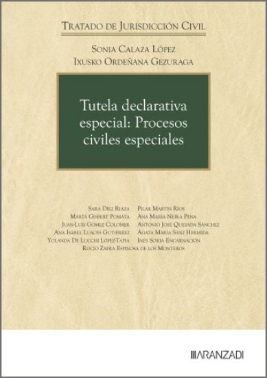 Imagen de Tutela declarativa especial: Procesos civiles especiales