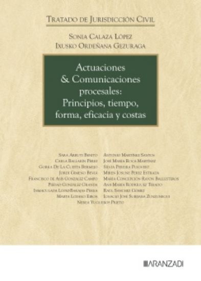 Imagen de Actuaciones & Comunicaciones procesales: Principios, tiempo, forma, eficacia y costas