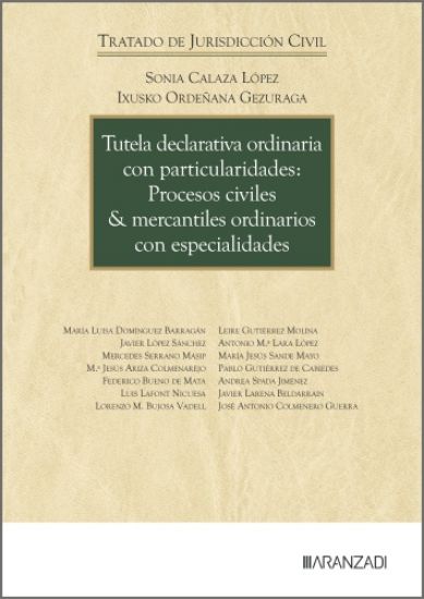 Imagen de Tutela declarativa ordinaria con particularidades: Procesos civiles & mercantiles ordinarios con especialidades