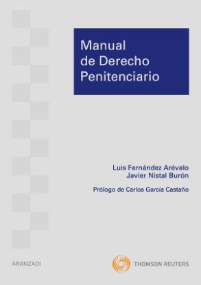 Imagen de Manual de Derecho Penitenciario