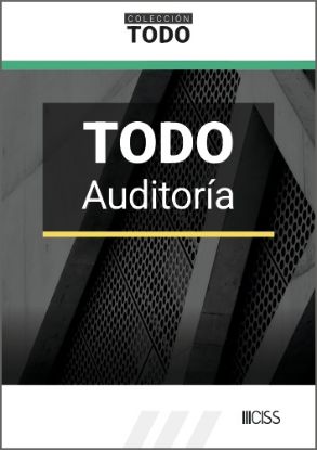 Imagen de TODO Auditoría