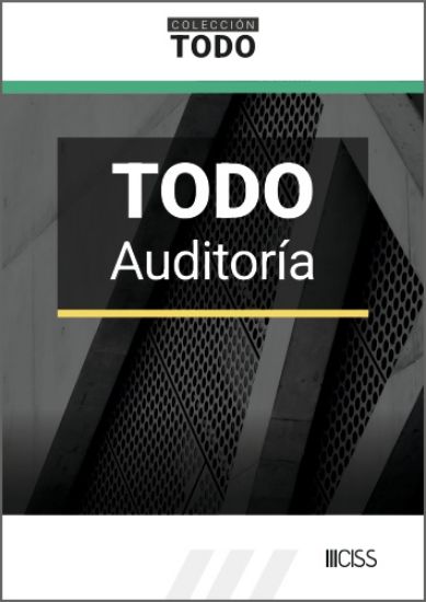Imagen de TODO Auditoría