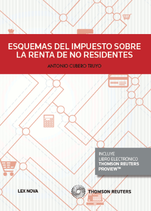 Imagen de Esquemas del Impuesto sobre la Renta de no Residentes