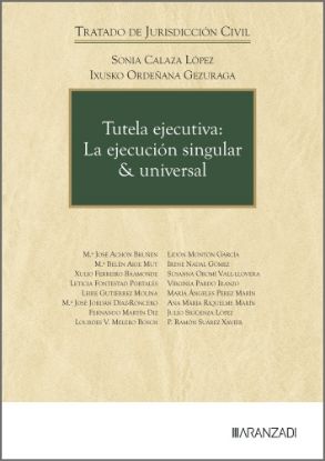 Imagen de Tutela ejecutiva: La ejecución singular & universal