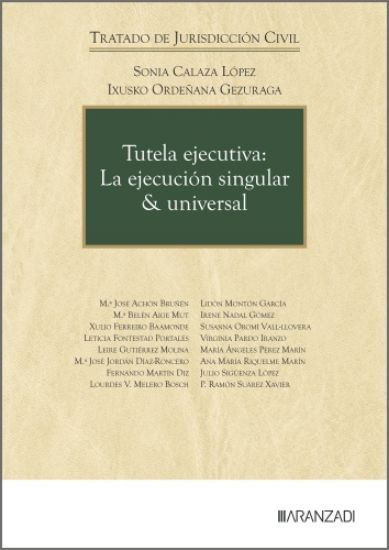 Imagen de Tutela ejecutiva: La ejecución singular & universal