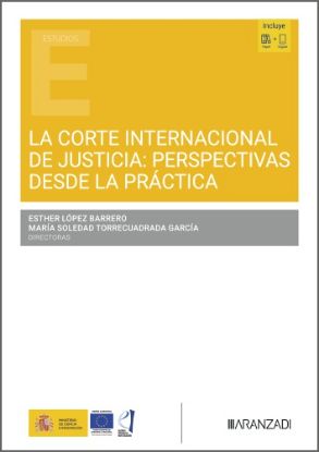 Imagen de La Corte Internacional de Justicia: perspectivas desde la práctica