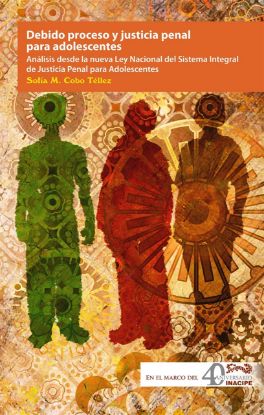 Imagen de Debido Proceso y Justicia Penal Para Adolescentes