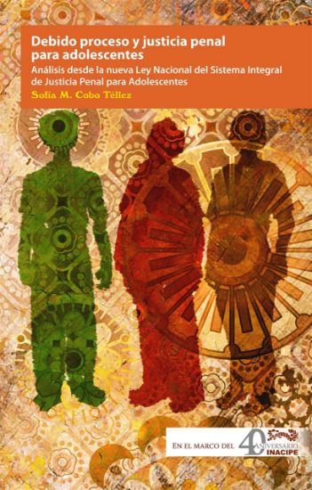 Imagen de Debido Proceso y Justicia Penal Para Adolescentes