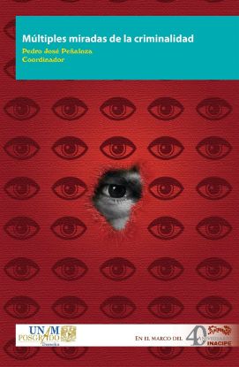 Imagen de Múltiples miradas de la criminalidad