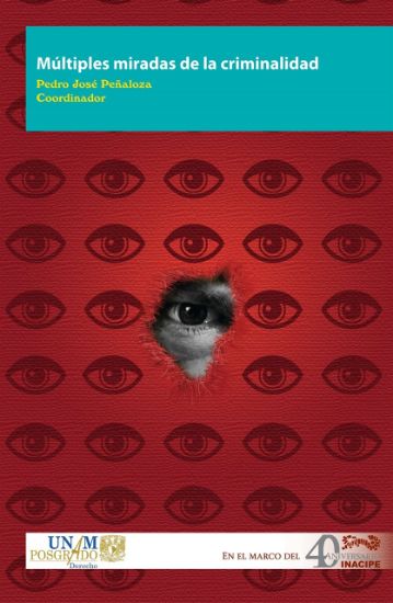 Imagen de Múltiples miradas de la criminalidad