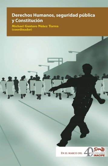 Imagen de Derechos humanos, seguridad pública y Constitución
