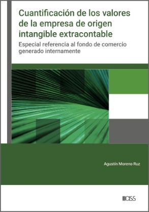 Imagen de Cuantificación de los valores de la empresa de origen intangible extracontable