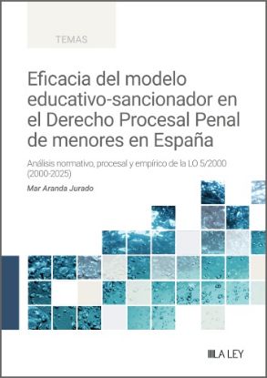Imagen de Eficacia del modelo educativo-sancionador en el Derecho Procesal Penal de menores en España