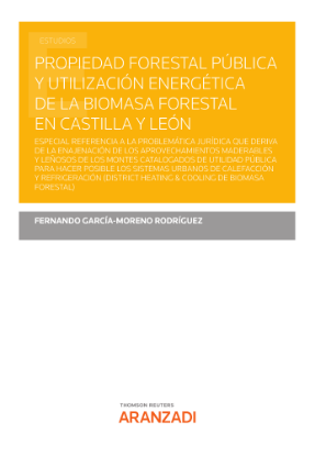 Imagen de Propiedad forestal pública y utilización energética de la biomasa forestal en Castilla y León