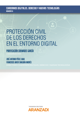 Imagen de Protección civil de los derechos en el entorno digital