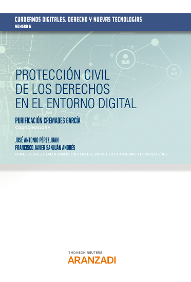 Imagen de Protección civil de los derechos en el entorno digital