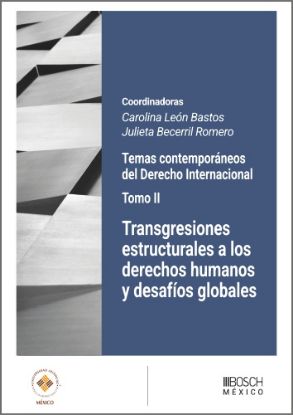 Imagen de Transgresiones estructurales a los derechos humanos y desafíos globales