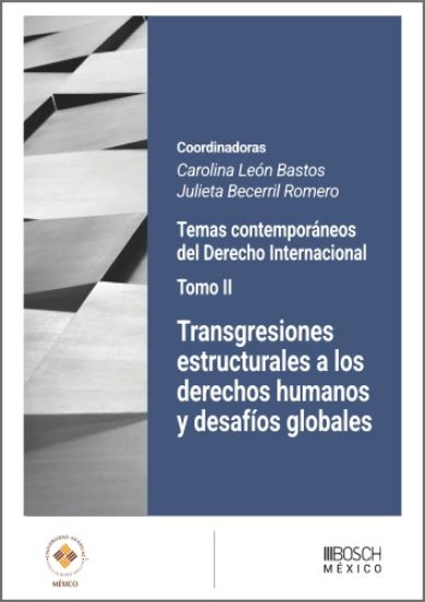 Imagen de Transgresiones estructurales a los derechos humanos y desafíos globales