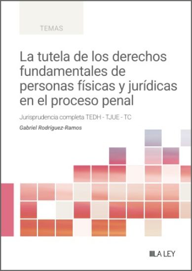 Imagen de La tutela de los derechos fundamentales de personas físicas y jurídicas en el proceso penal