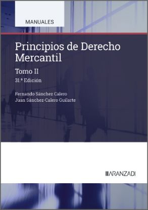 Imagen de Principios de Derecho Mercantil (Tomo II)
