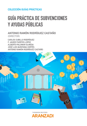 Guía Práctica de Subvenciones y Ayudas Públicas