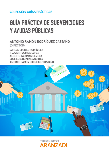 Imagen de Guía Práctica de Subvenciones y Ayudas Públicas