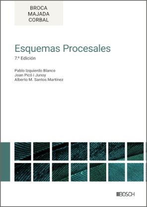 Esquemas procesales
