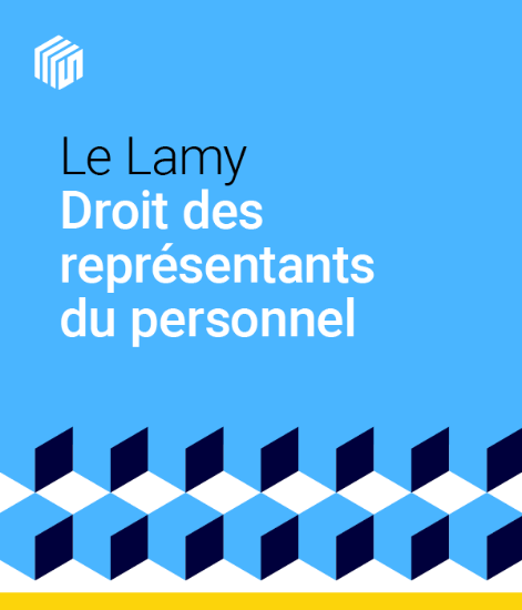 Image de Le Lamy droit des représentants du personnel