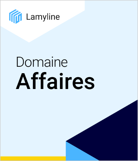 Image de Lamyline Domaine Affaires