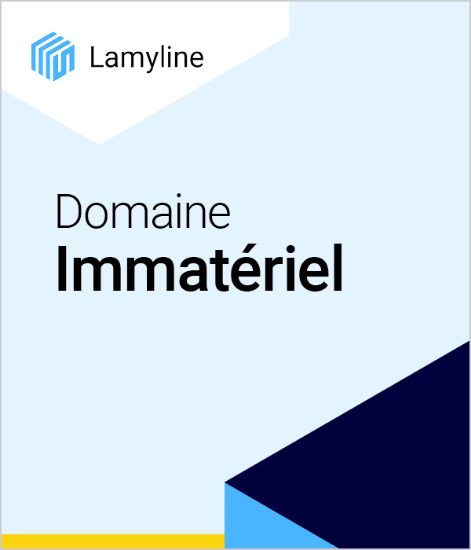 Image de Lamyline Domaine Immatériel