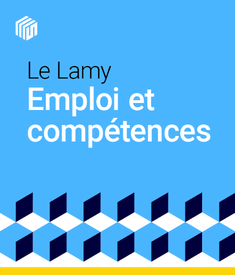 Image de Le Lamy emploi et compétences