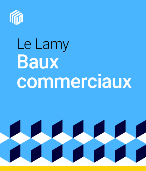 Image de Le Lamy baux commerciaux