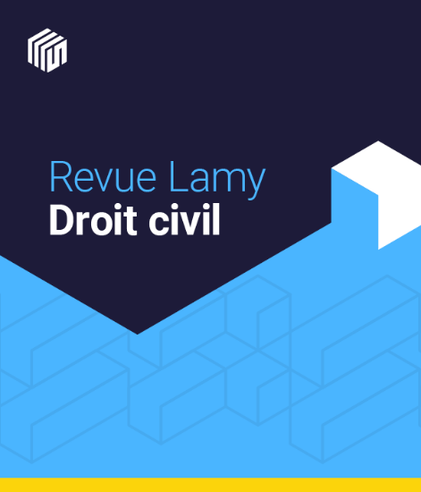 Image de Revue Lamy droit civil