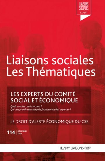 Image de Liaisons Sociales Les Thématiques - Les experts du comité social et économique