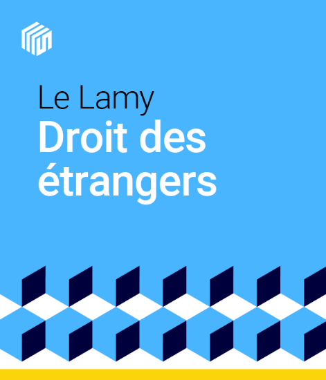 Image de Le Lamy droit des étrangers