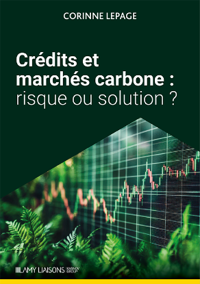 Crédits et marchés carbone :  risque ou solution ?