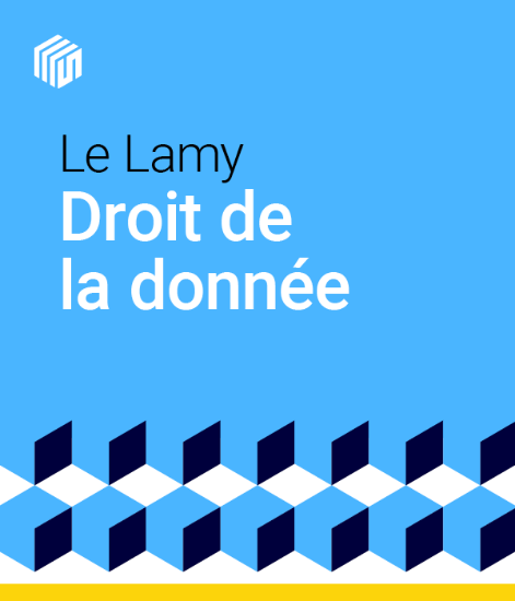 Image de Le Lamy droit de la donnée